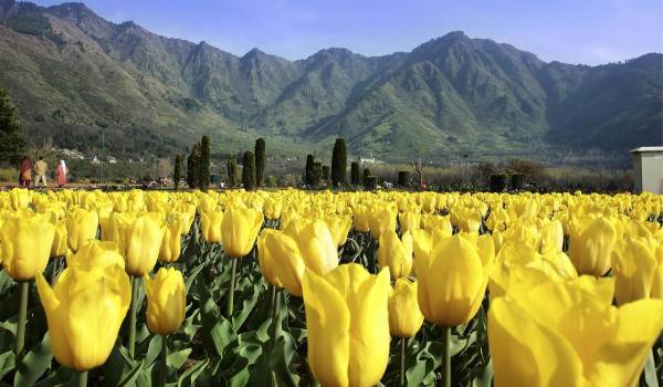 کندر، کرج | روستای رنگارنگ در دل کوه‌های جاده چالوس